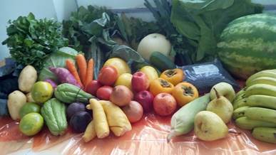 Vegetais, frutas e legumes