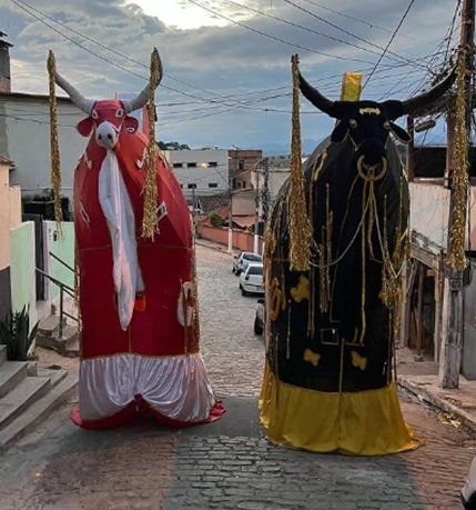 Boi pintadinho